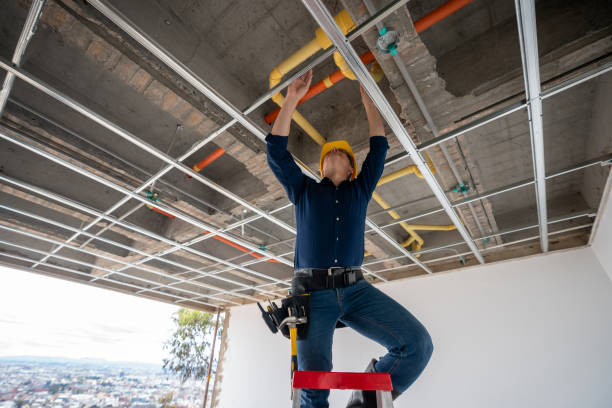 Best Plumbing Inspection Services  in Lake Bryan, TX
